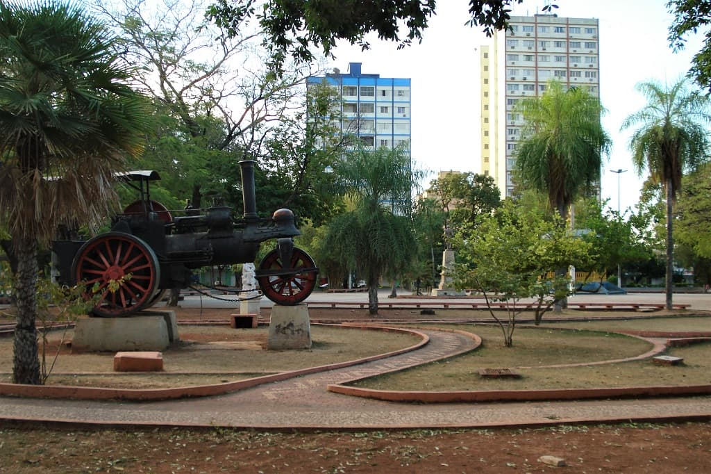 Vereador sugere projeto de arborização para criação de bosques urbanos nas praças