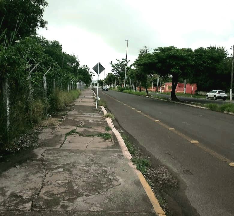 Recuperação do calçadão da Barão do Rio Branco é reivindicada na Câmara