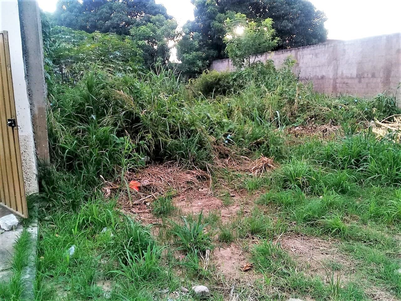 Vereador sugere que Município cobre proprietários para limpeza de terrenos baldios