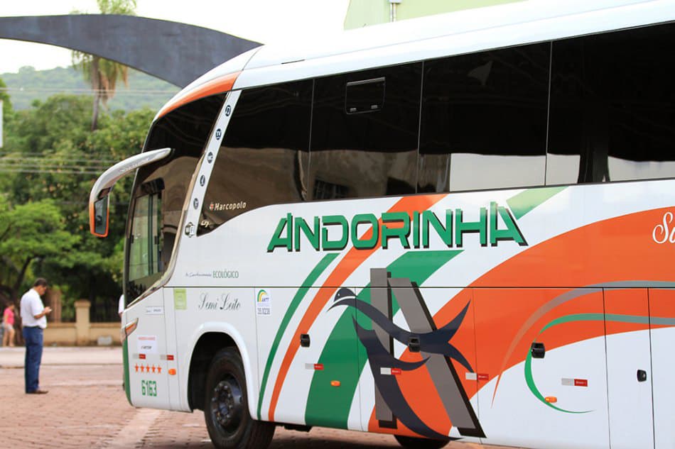 Após Ação Civel do MPE, Câmara luta por mais empresas no transporte de passageiros