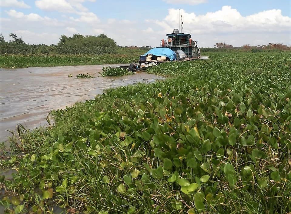 Vereador sugere utilização de embarcação da AHIPAR para desobstruir o Rio Negrinho