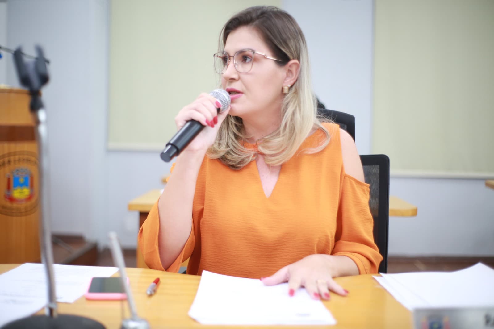 Vereadora pede relatório de solicitações feitas pelo Município no Sistema CORE