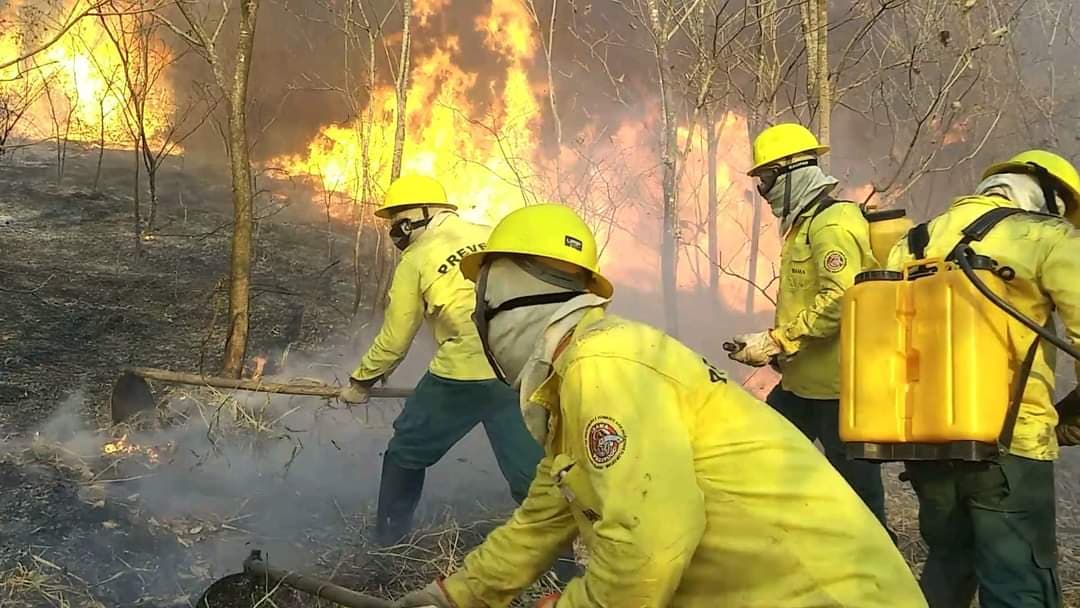 Vereador diz que emergência no Pantanal reforça necessidade de isenção do ITR