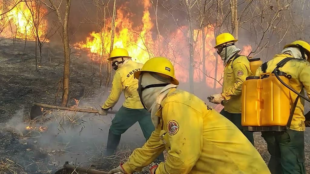 Vereador sugere criação de Brigada Municipal de Combate a Incêndio e Desastres Ambientais