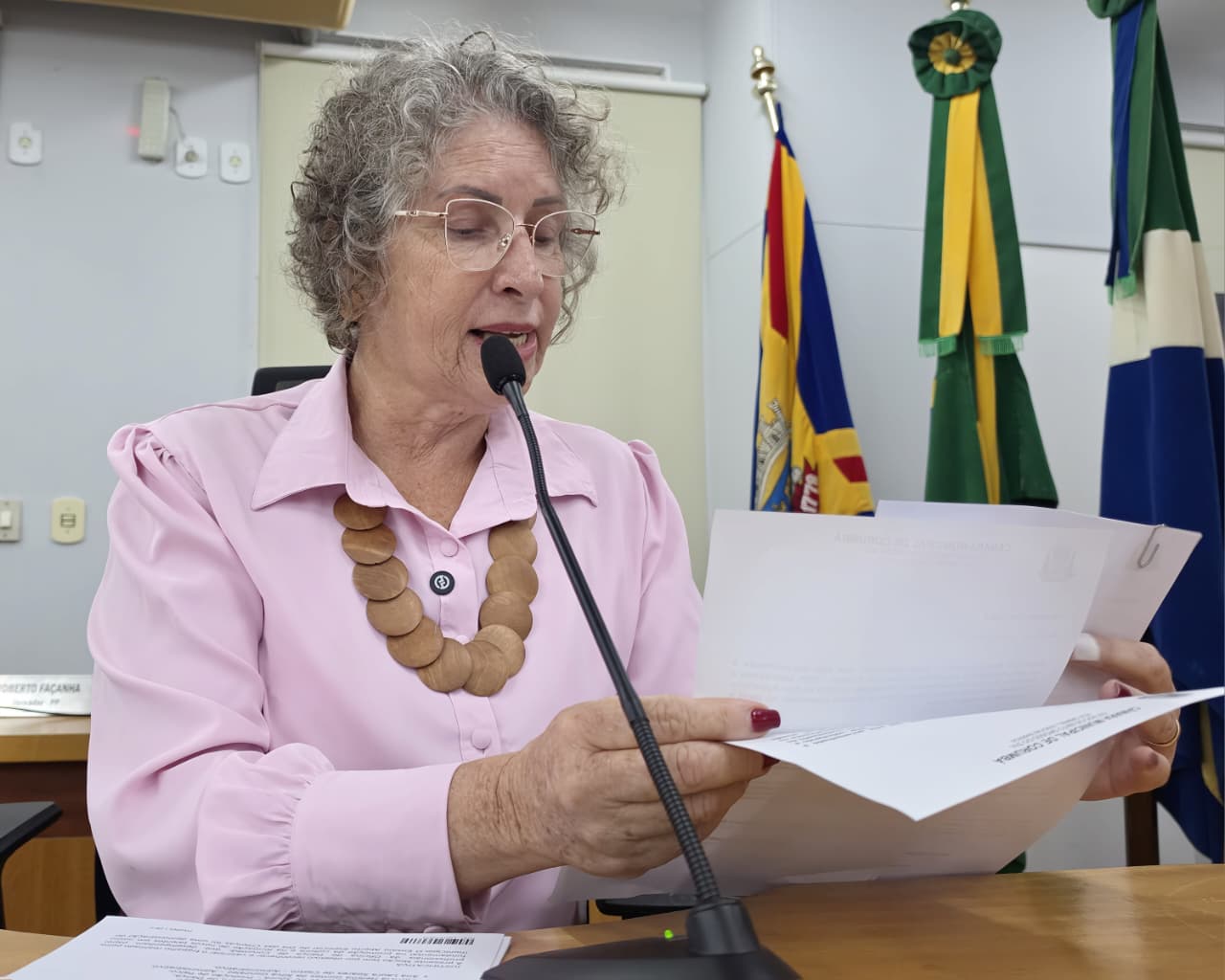 Nanah busca junto ao Executivo, melhorias na infraestrutura de via pública no Aeroporto