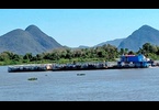 Thumb_transporte-de-gado-no-paiagu_s-730x425