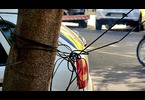 Thumb_20250220_094137