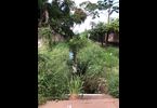 Thumb_img-20250310-wa0052