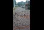Thumb_bira_3