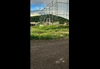 Thumb_img-20260407-wa0062