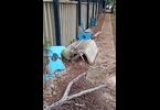 Thumb_img-20260429-wa0015