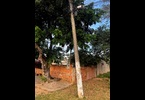 Thumb_img-20260526-wa0204