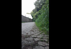 Thumb_01