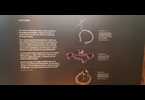 Thumb_0013