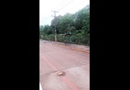 Thumb_20