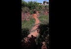 Thumb_04