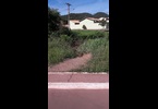 Thumb_02