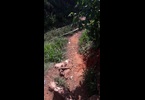 Thumb_05