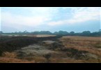 Thumb_videocapture_20211020-193121