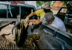 Thumb_img-20220210-wa0079