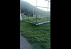 Thumb_whatsapp_image_2023-05-16_at_13.01.48