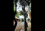 Thumb_20230814_090719