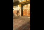 Thumb_img-20240130-wa0063