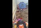 Thumb_img-20240130-wa0060